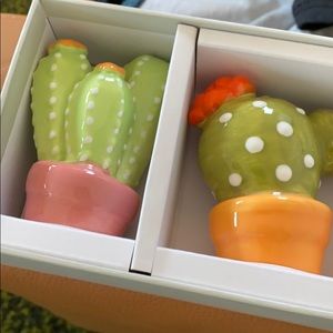 Salt and Pepper shakers Cactus